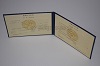 Стоимость диплома техникума УзбекАССР 1975-1991 г. в Аше (Челябинская Область)