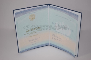 Диплом Колледжа 2023г СпецБланк в Челябинске